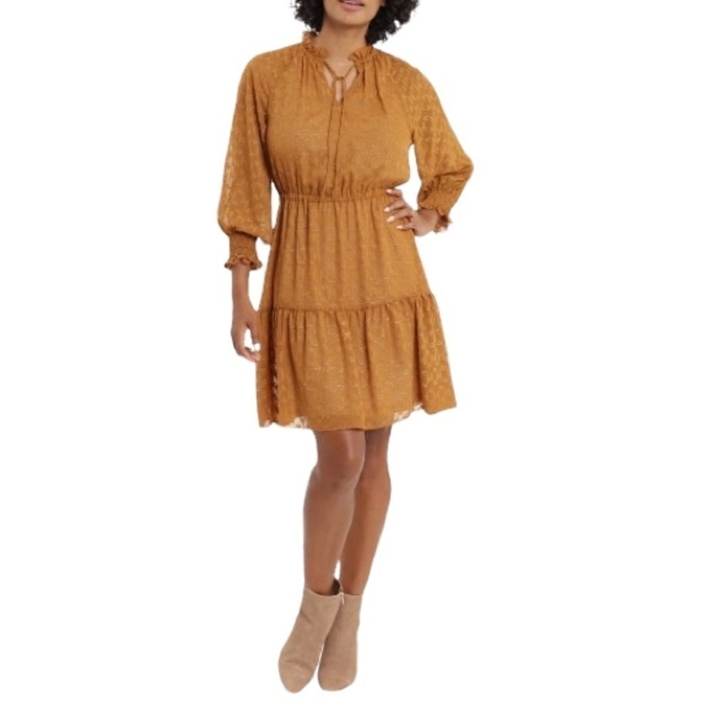 London Times Aztec Burnout Ruffle Dress In Terracotta With Gold Threading Sz. 12 - Picture 12 of 13